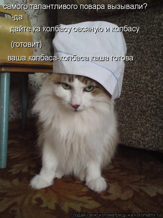 Котоматрица: самого талантливого повара вызывали? -да дайте ка колбасу овсяную и колбасу (готовит) ваша колбаса-колбаса каша готова