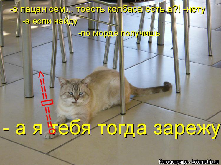 Котоматрица: - а я тебя тогда зарежу! -э пацан сем... тоесть колбаса есть а?! -нету -а если найду -по морде получишь о===[]===>