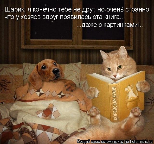 Котоматрица: - Шарик, я конечно тебе не друг, но очень странно,  что у хозяев вдруг появилась эта книга... ...даже с картинками!...
