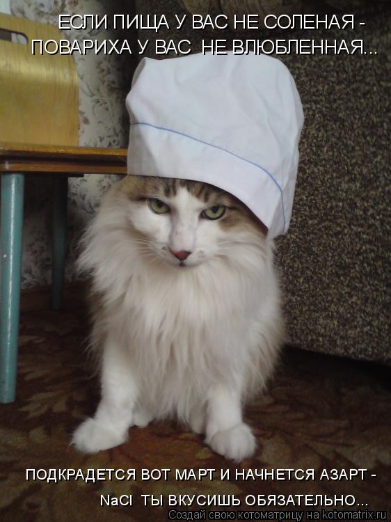 Котоматрица: ЕСЛИ ПИЩА У ВАС НЕ СОЛЕНАЯ -  ПОВАРИХА У ВАС  НЕ ВЛЮБЛЕННАЯ... ПОДКРАДЕТСЯ ВОТ МАРТ И НАЧНЕТСЯ АЗАРТ -  NaCl  ТЫ ВКУСИШЬ ОБЯЗАТЕЛЬНО...