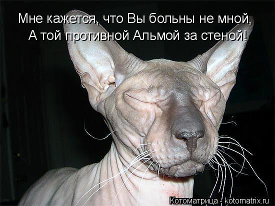 Мне кажется, что Вы больны не мной, А той противной Альмой за стеной!... Котоматрица: Мне кажется, что Вы больны не мной, А той противной Альмой за стеной!