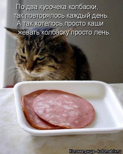 Котоматрица: По два кусочека колбаски, так повторялось каждый день. А так хотелось,просто каши жевать колбаску просто лень.