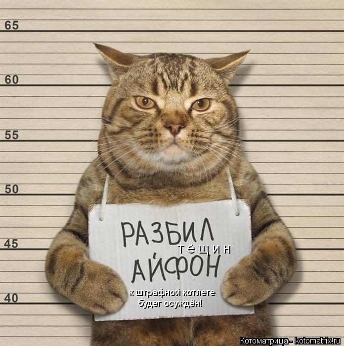 т ё щ и н к штрафной котлете будет осуждён!... Котоматрица: т ё щ и н к штрафной котлете будет осуждён!