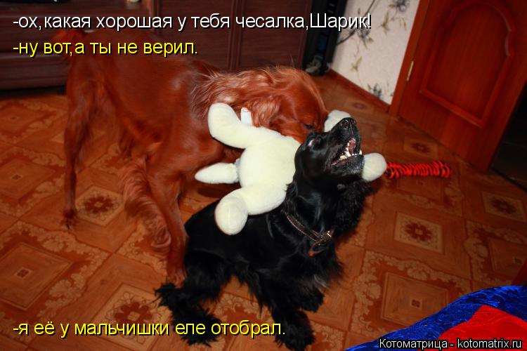 -ох,какая хорошая у тебя чесалка,Шарик! -ну вот,а ты не верил. -я её у мальчишки еле отобрал.... Котоматрица: -ох,какая хорошая у тебя чесалка,Шарик! -ну вот,а ты не верил. -я её у мальчишки еле отобрал.