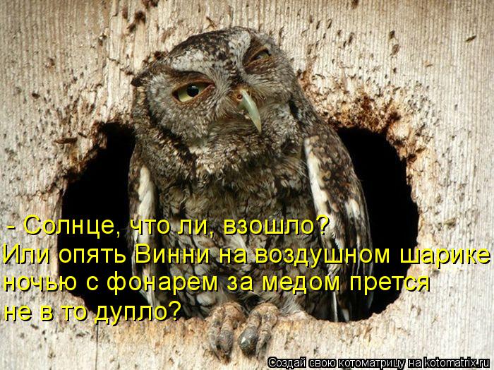 - Солнце, что ли, взошло? Или опять Винни на воздушном шарике ночью с фонарем за медом прется не в то... Котоматрица: - Солнце, что ли, взошло? Или опять Винни на воздушном шарике ночью с фонарем за медом прется не в то дупло?