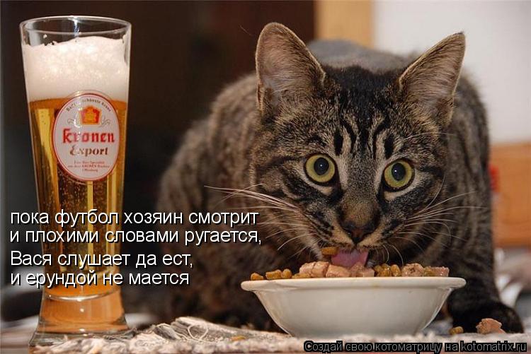 пока футбол хозяин смотрит и плохими словами ругается, Вася слушает да ест, и ерундой не мается... Котоматрица: пока футбол хозяин смотрит и плохими словами ругается, Вася слушает да ест, и ерундой не мается