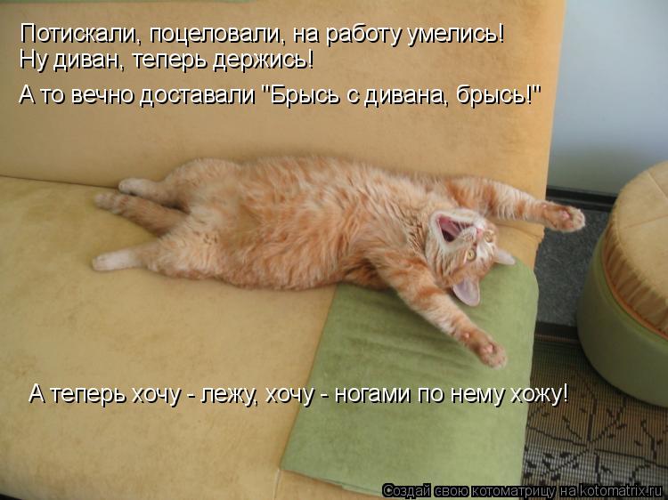 Потискали, поцеловали, на работу умелись! Ну диван, теперь держись! А то вечно доставали "Брысь с див... Котоматрица: Потискали, поцеловали, на работу умелись! Ну диван, теперь держись! А то вечно доставали "Брысь с дивана, брысь!" А теперь хочу - лежу, хочу - но