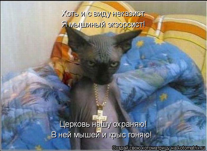 Я мышиный экзорсист! Церковь нашу охраняю! В ней мышей и крыс гоняю! Хоть и с виду неказист.... Котоматрица: Я мышиный экзорсист! Церковь нашу охраняю! В ней мышей и крыс гоняю! Хоть и с виду неказист.