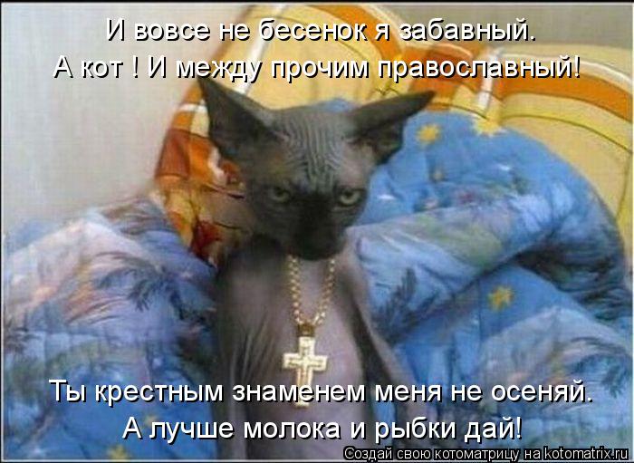 А кот ! И между прочим православный! И вовсе не бесенок я забавный. Ты крестным знаменем меня не осен... Котоматрица: А кот ! И между прочим православный! И вовсе не бесенок я забавный. Ты крестным знаменем меня не осеняй. А лучше молока и рыбки дай!