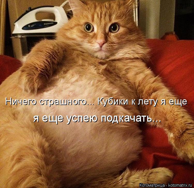 Ничего страшного... Кубики к лету я еще я еще успею подкачать...... Котоматрица: Ничего страшного... Кубики к лету я еще я еще успею подкачать...