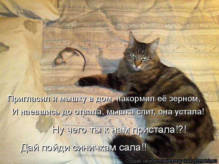 Пригласил я мышку в дом, накормил её зерном, И наевшись до отвала, мышка спит, она устала! Ну чего ты... Котоматрица: Пригласил я мышку в дом, накормил её зерном, И наевшись до отвала, мышка спит, она устала! Ну чего ты к нам пристала!?! Дай пойди синичкам сала!!