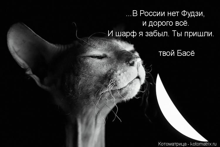 ...В России нет Фудзи, и дорого всё. И шарф я забыл. Ты пришли. твой Басё... Котоматрица: ...В России нет Фудзи, и дорого всё. И шарф я забыл. Ты пришли. твой Басё