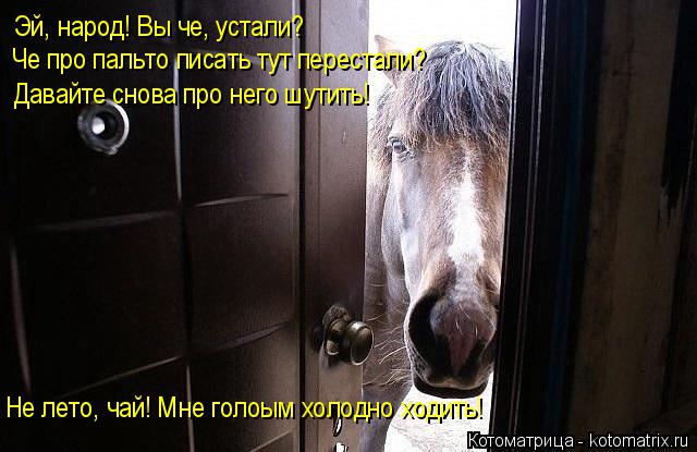 Эй, народ! Вы че, устали? Давайте снова про него шутить! Че про пальто писать тут перестали? Не лето,... Котоматрица: Эй, народ! Вы че, устали? Давайте снова про него шутить! Че про пальто писать тут перестали? Не лето, чай! Мне голоым холодно ходить!