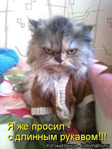 Котоматрица: Я же просил -  с длинным рукавом!!!