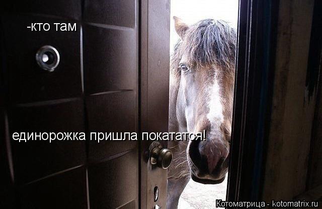 Котоматрица: -кто там единорожка пришла покататся!