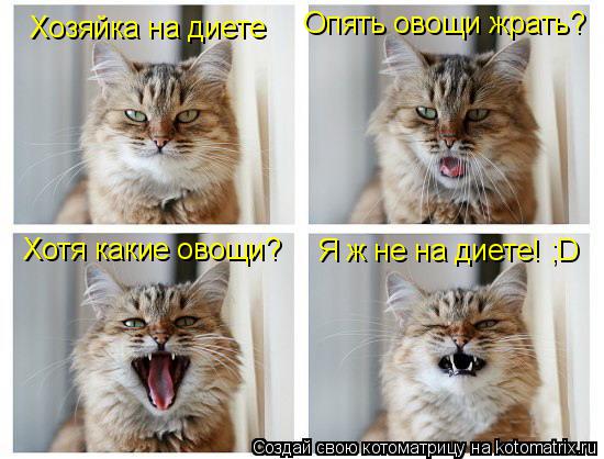 Хозяйка на диете Опять овощи жрать? Хотя какие овощи? Я ж не на диете! ;D... Котоматрица: Хозяйка на диете Опять овощи жрать? Хотя какие овощи? Я ж не на диете! ;D