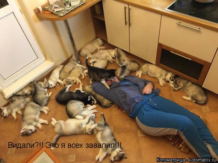 Котоматрица: Видали?!! Это я всех завалил!!!