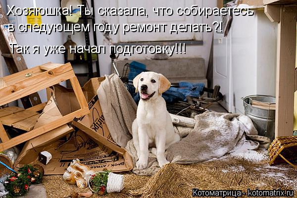 Котоматрица: Хозяюшка! Ты сказала, что собираетесь  в следующем году ремонт делать?! Так я уже начал подготовку!!!