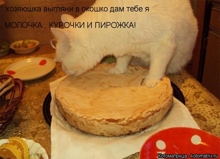 Котоматрица: хозяюшка выгляни в окошко дам тебе я МОЛОЧКА . КУРОЧКИ И ПИРОЖКА!