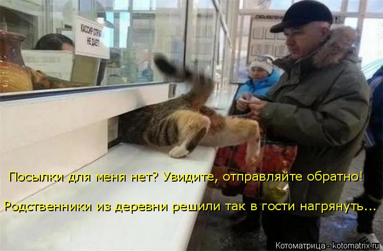 Котоматрица: Посылки для меня нет? Увидите, отправляйте обратно!  Родственники из деревни решили так в гости нагрянуть...