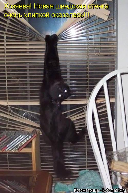 Котоматрица: Хозяева! Новая шведская стенка очень хлипкой оказалась!!!