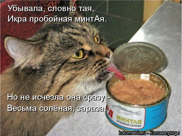 Котоматрица: Убывала, словно тая, Икра пробойная минтАя. Но не исчезла она сразу - Весьма солёная, зараза!