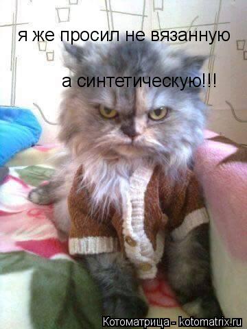 Котоматрица: я же просил не вязанную  а синтетическую!!!