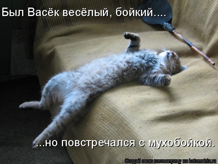 Был Васёк весёлый, бойкий.... ...но повстречался с мухобойкой.... Котоматрица: Был Васёк весёлый, бойкий.... ...но повстречался с мухобойкой.