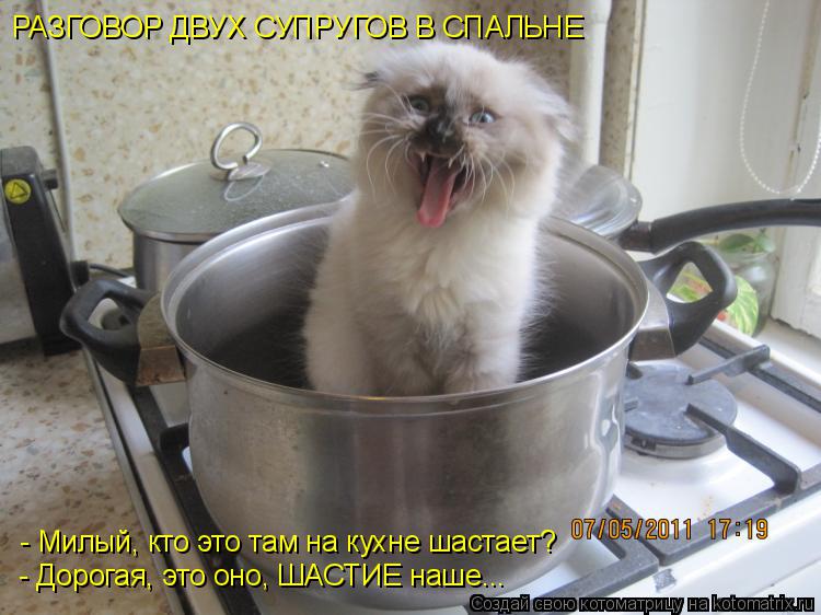 Котоматрица: РАЗГОВОР ДВУХ СУПРУГОВ В СПАЛЬНЕ - Милый, кто это там на кухне шастает? - Дорогая, это оно, ШАСТИЕ наше...