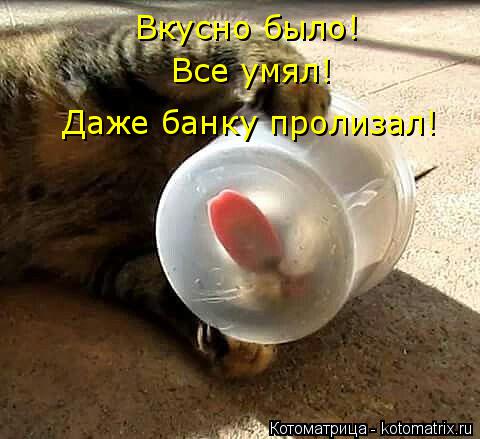 Котоматрица: Вкусно было!  Все умял! Даже банку пролизал!