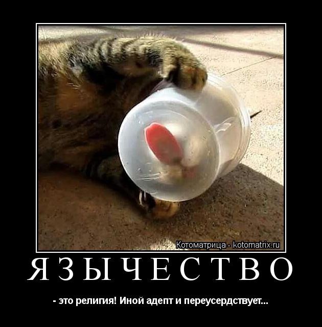 ЯЗЫЧЕСТВО - это религия! Иной адепт и переусердствует...... Котоматрица: ЯЗЫЧЕСТВО - это религия! Иной адепт и переусердствует...
