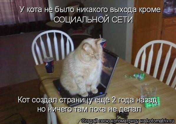 Котоматрица: У кота не было никакого выхода кроме СОЦИАЛЬНОЙ СЕТИ Кот создал страницу ещё 2 года назад но ничего там пока не делал