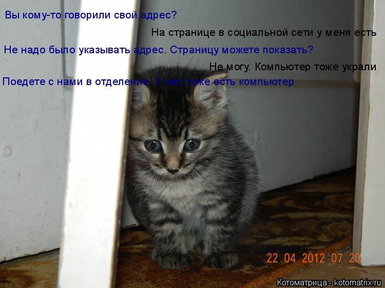 Вы кому-то говорили свой адрес? На странице в социальной сети у меня есть Не надо было указывать адре... Котоматрица: Вы кому-то говорили свой адрес? На странице в социальной сети у меня есть Не надо было указывать адрес. Страницу можете показать? Не могу. Ко