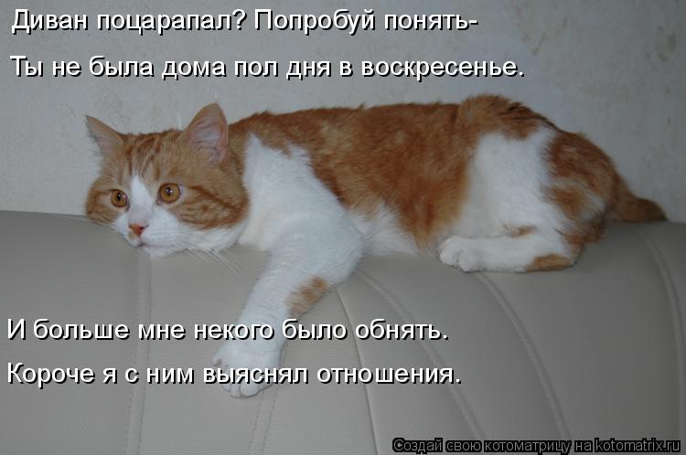Диван поцарапал? Попробуй понять- И больше мне некого было обнять. Ты не была дома пол дня в воскресе... Котоматрица: Диван поцарапал? Попробуй понять- И больше мне некого было обнять. Ты не была дома пол дня в воскресенье. Короче я с ним выяснял отношения.