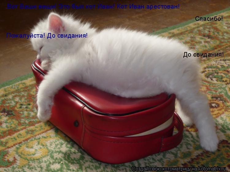 Вот Ваши вещи! Это был кот Иван! Кот Иван арестован! Спасибо! Пожалуйста! До свидания! До свидания!... Котоматрица: Вот Ваши вещи! Это был кот Иван! Кот Иван арестован! Спасибо! Пожалуйста! До свидания! До свидания!