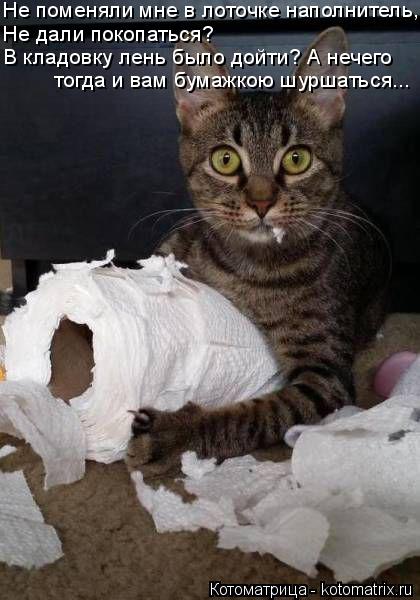 Котоматрица: Не поменяли мне в лоточке наполнитель, Не дали покопаться? В кладовку лень было дойти? А нечего тогда и вам бумажкою шуршаться...