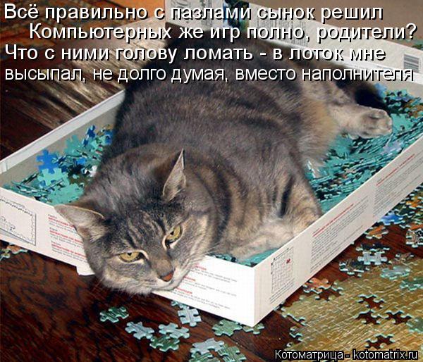 Котоматрица: Всё правильно с пазлами сынок решил Компьютерных же игр полно, родители? Что с ними голову ломать - в лоток мне высыпал, не долго думая, вмест