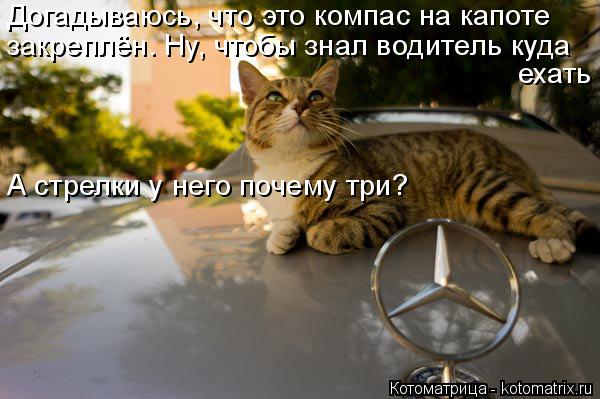 Догадываюсь, что это компас на капоте закреплён. Ну, чтобы знал водитель куда ехать А стрелки у него ... Котоматрица: Догадываюсь, что это компас на капоте закреплён. Ну, чтобы знал водитель куда ехать А стрелки у него почему три?