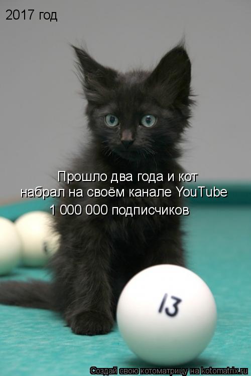 2017 год Прошло два года и кот набрал на своём канале YouTube 1 000 000 подписчиков... Котоматрица: 2017 год Прошло два года и кот набрал на своём канале YouTube 1 000 000 подписчиков