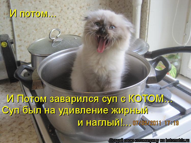 И Потом заварился суп с КОТОМ... И потом... Суп был на удивление жирный и наглый!...... Котоматрица: И Потом заварился суп с КОТОМ... И потом... Суп был на удивление жирный и наглый!...