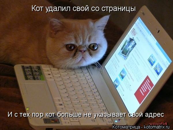Кот удалил свой со страницы И с тех пор кот больше не указывает свой адрес... Котоматрица: Кот удалил свой со страницы И с тех пор кот больше не указывает свой адрес