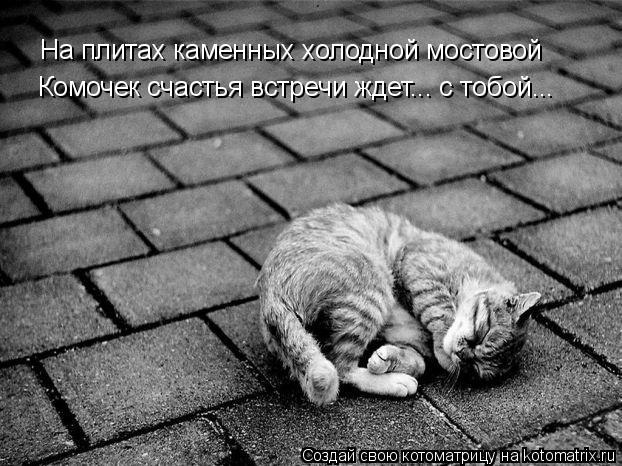 На плитах каменных холодной мостовой Комочек счастья встречи ждет... с тобой...... Котоматрица: На плитах каменных холодной мостовой Комочек счастья встречи ждет... с тобой...