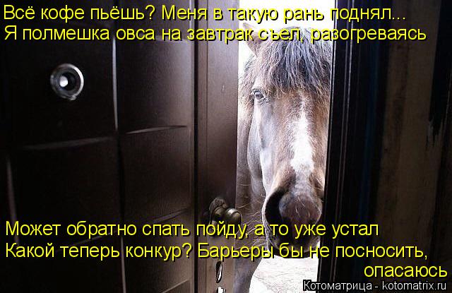 Котоматрица: Всё кофе пьёшь? Меня в такую рань поднял... Я полмешка овса на завтрак съел, разогреваясь Может обратно спать пойду, а то уже устал Какой тепе