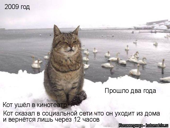 2009 год Прошло два года Кот ушёл в кинотеатр Кот сказал в социальной сети что он уходит из дома и ве... Котоматрица: 2009 год Прошло два года Кот ушёл в кинотеатр Кот сказал в социальной сети что он уходит из дома и вернётся лишь через 12 часов