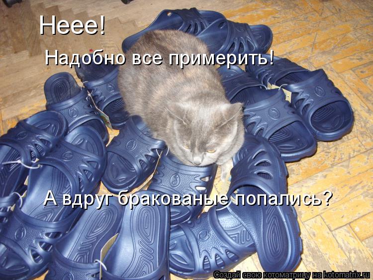 Котоматрица: Неее! Надобно все примерить! А вдруг бракованые попались?