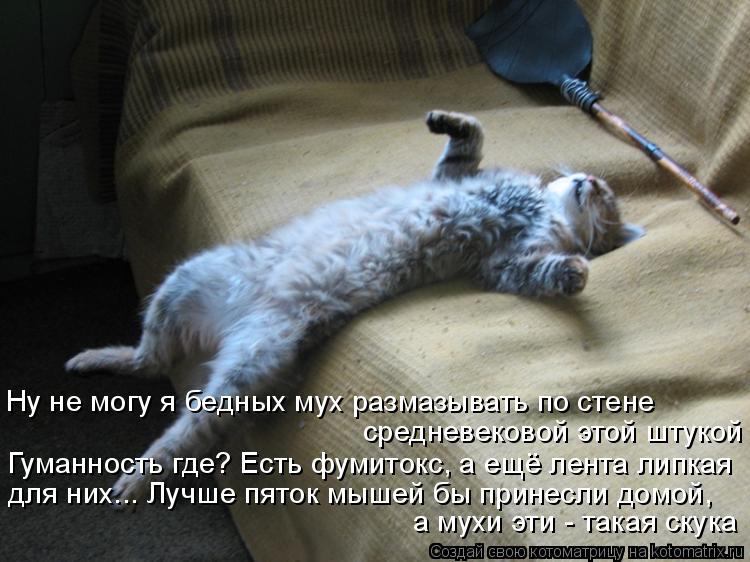 Ну не могу я бедных мух размазывать по стене средневековой этой штукой Гуманность где? Есть фумитокс,... Котоматрица: Ну не могу я бедных мух размазывать по стене средневековой этой штукой Гуманность где? Есть фумитокс, а ещё лента липкая для них... Лучше пят