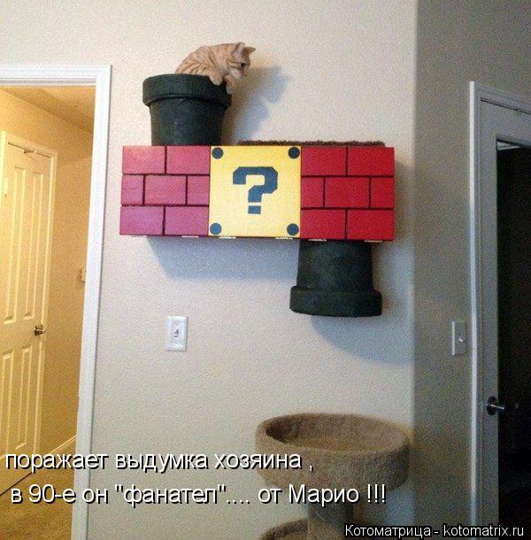 Котоматрица: поражает выдумка хозяина , в 90-е он "фанател".... от Марио !!!