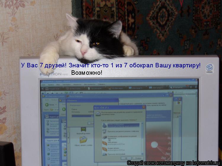 У Вас 7 друзей! Значит кто-то 1 из 7 обокрал Вашу квартиру! Возможно!... Котоматрица: У Вас 7 друзей! Значит кто-то 1 из 7 обокрал Вашу квартиру! Возможно!