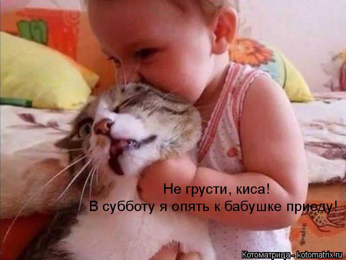 Котоматрица: Не грусти, киса! В субботу я опять к бабушке приеду!