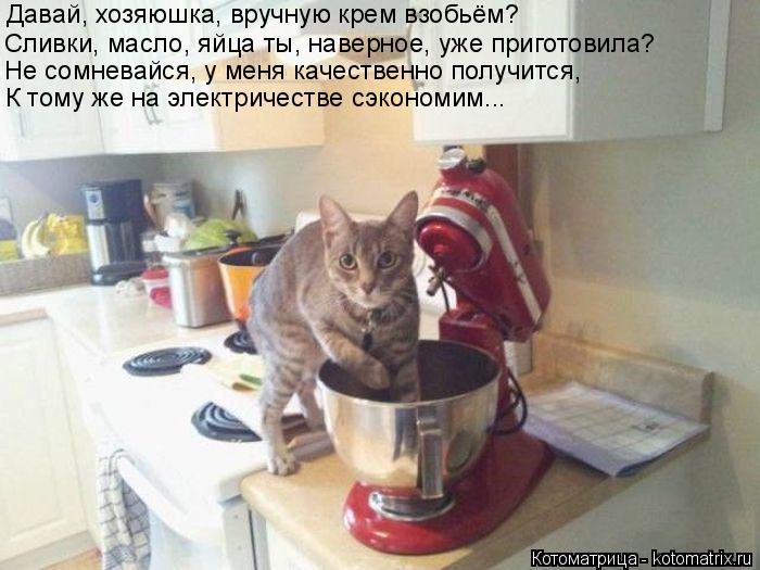 Давай, хозяюшка, вручную крем взобьём? Сливки, масло, яйца ты, наверное, уже приготовила? Не сомневай... Котоматрица: Давай, хозяюшка, вручную крем взобьём? Сливки, масло, яйца ты, наверное, уже приготовила? Не сомневайся, у меня качественно получится, К тому